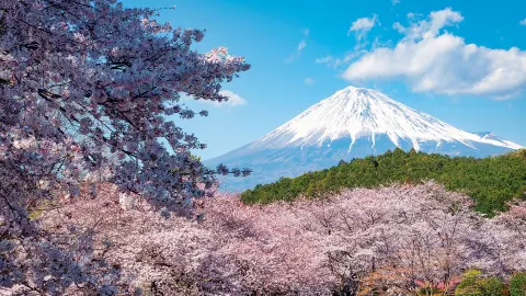 5896_Faszination-Japan_content_1920x1080px_Ausflug_Fuji-san-placeholder