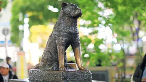 5896_Faszination-Japan_content_1920x1080px_Tokio_Hachiko-Statue-placeholder