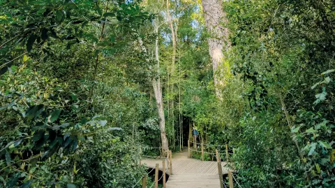 Tsitsikamma-Nationalpark-placeholder