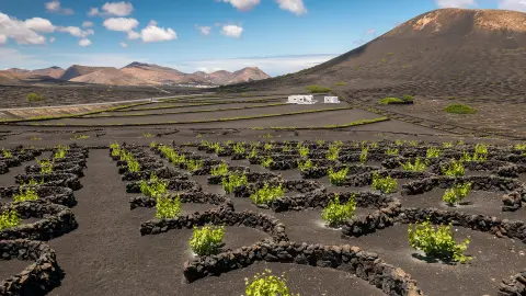 Ausflug nach lanzarote -placeholder