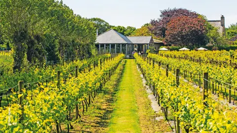 La Mare Wine Estate (zubuchbar)-placeholder