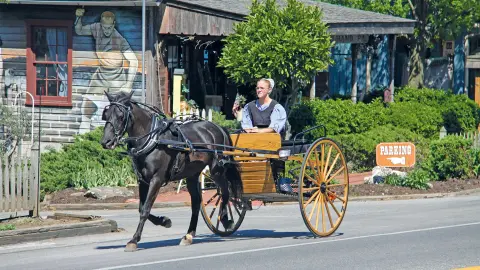 6851_JFK111_Ostkueste-USA-Kanada-2025_Amish-in-Lancaster-placeholder