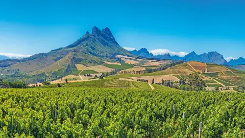 Weinregion Stellenbosch-placeholder