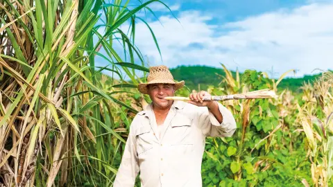 Besichtigung im Zuckerrohrmuseum-placeholder