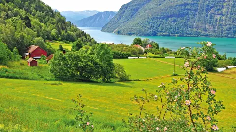 Ausflug nach Ørnes-placeholder