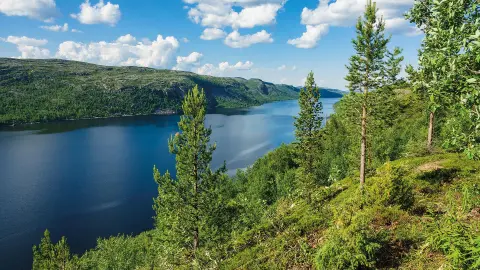 Aussicht auf den Varangerfjord-placeholder