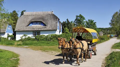 5369_kuestenglueck-bernsteinmeer_content_1920x1080px_kutschfahrt-placeholder