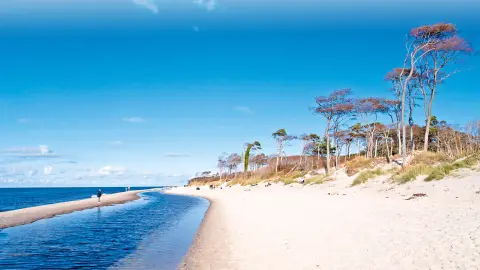 5518_küstenglück-bernsteinmeer_content_1920x1080px_Strand-von-Darß-placeholder