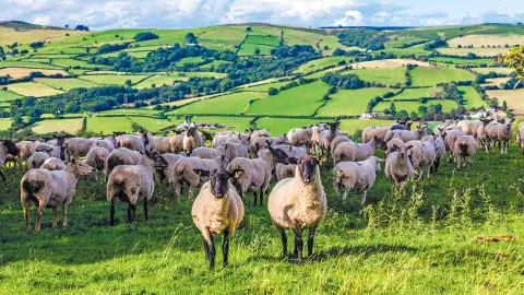 7084_LHR115_Wales_content_1920x1080px_Brecon-Beacons-Nationalpark-placeholder