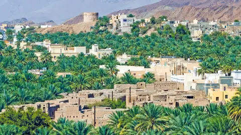6877-78_Faszination_Oman_content_1920x1080px_Birkat-Al-Mouz-placeholder