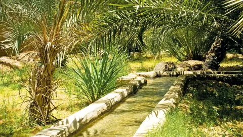 6877-78_Faszination_Oman_content_1920x1080px_Falaj_al-ain-placeholder