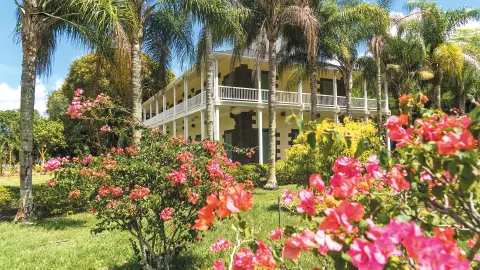 MRU111_Trauminsel-Mauritius_EV_26_content_1920x1080px_Pamplemousses-Botanical-Garden-placeholder