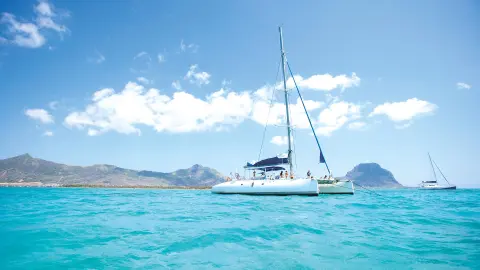 MRU111_Trauminsel-Mauritius_EV_26_content_1920x1080px_zubuchbare-Katamaranfahrt-mit-delphin-placeholder