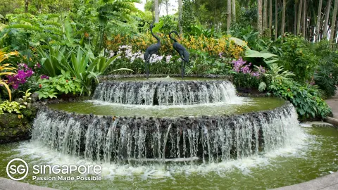 Botanischer Garten in Singapur-placeholder