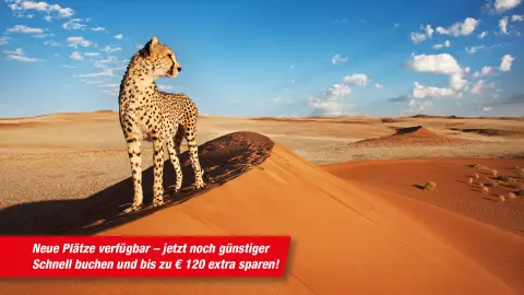 7217-7218_Namibia_content_1920x1080px_Gepard_TITEL_stoerer-placeholder