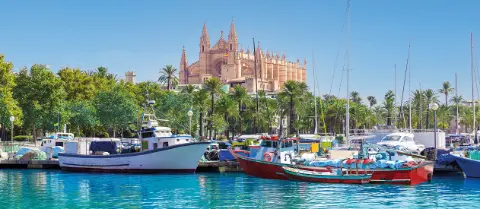 Das Beste von Mallorca Titelbild Slider-placeholder