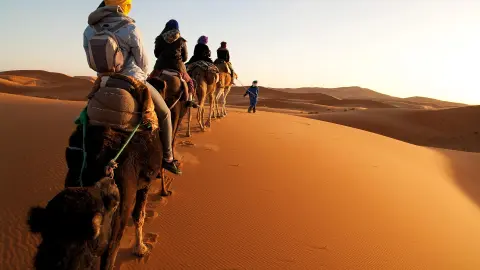 Kamelreiten in den Sonnenuntergang-placeholder