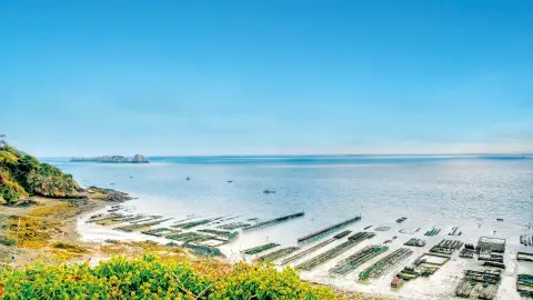 Austernküste bei Cancale-placeholder