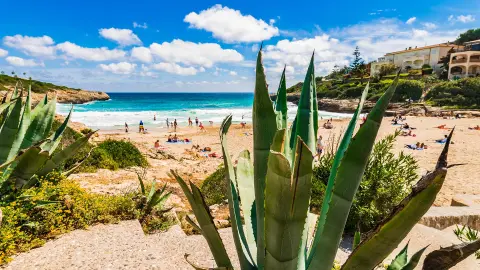 Cala Mandia-placeholder