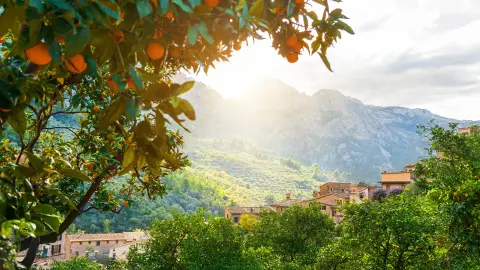 Wunderschöne Aussicht auf Sóller-placeholder