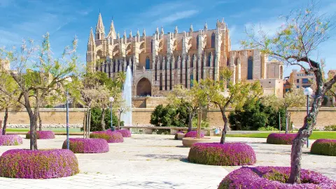 7049_PMI121_Orangenbluete_Mallorca_Palma_content_1920x1080px_kathedrale_titel-placeholder