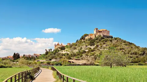 Die Stadt Artá auf Mallorca-placeholder