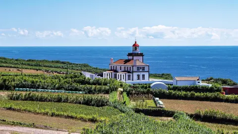 6839_Azoren_Insel_Sao_Miguel_content_1920x1080px_Nordeste-placeholder