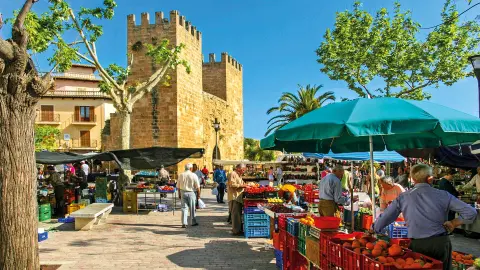 PMI111_zauberhafte-Mandebluete-Mallorca_content_1920x1080px_alcudia-markt-placeholder