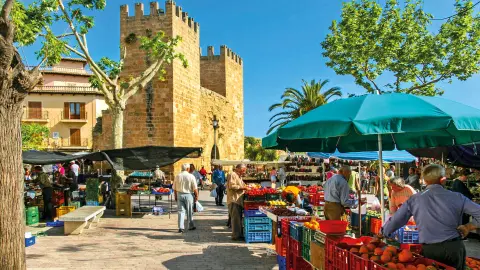 PMI115_Mallorca_fuer_alle_Sinne_content_1920x1080px_Alcudia_Markt-placeholder