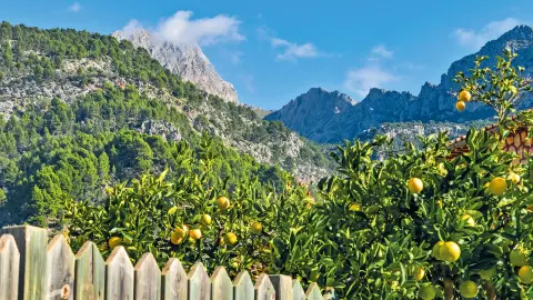 PMI115_Mallorca_fuer_alle_Sinne_content_1920x1080px_Fornalutx-1-placeholder