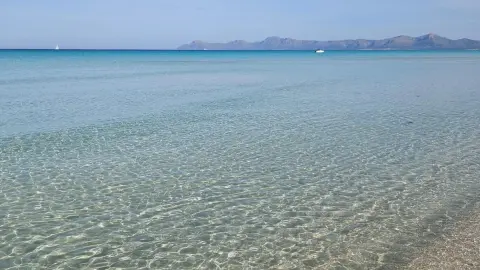 PMI117_Wandern auf Mallorca-BG Tonga_26_content_1920x1080px_Can_picafort-placeholder