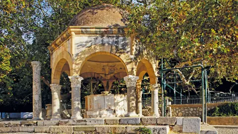 Platanenbaum des Hippokrates-placeholder