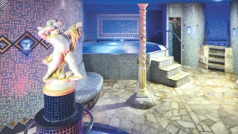 Wellnessbereich im Hotel Aquapark-placeholder