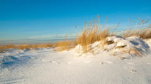 DEU617_Silvester-in-Ostfriesland_content_1920x1080px_ostsee-duenen-placeholder