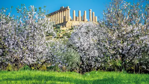 6864_Sizilien zur Mandelbluete_content_1920x1080px_tal-der-tempel_titel-placeholder