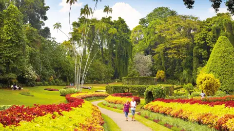 Königlicher Botanischer Garten-placeholder