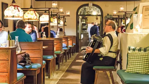 Heurigen-Abend in Wien genießen-placeholder