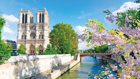 Notre Dame-placeholder