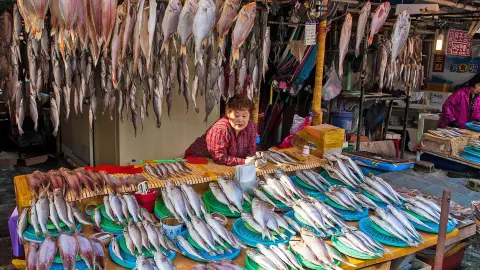 ICN113-114_7094-95_Südkorea_Jagalchi-Fischmarkt_busan-placeholder
