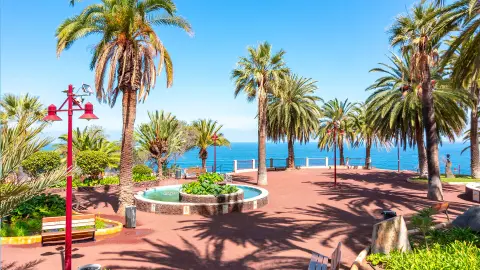 Puerto de la Cruz-placeholder