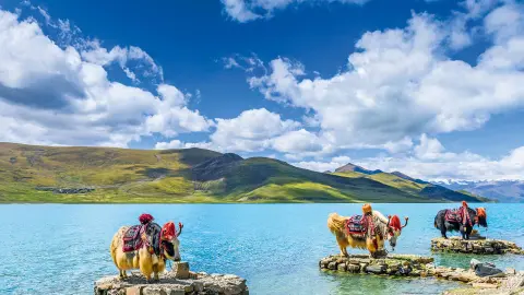 TFU111-112_7282-7283_Tibet-25-26_content_1920x1080px_Yamdrok-See-placeholder
