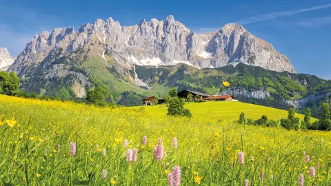 Rundfahrt zum Wilden Kaiser-placeholder