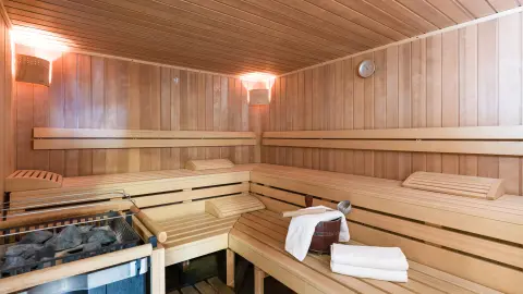 Hotel Harfenwirt, Sauna-placeholder