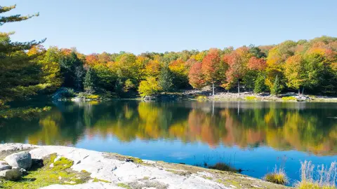 Omega Park-placeholder