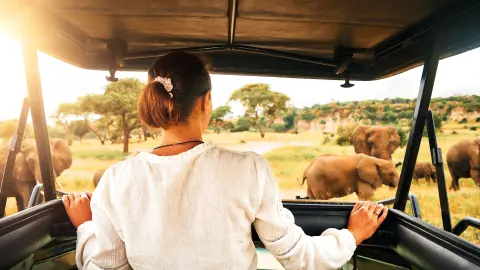 Pirschfahrt im Tsavo-Ost-Nationalpark-placeholder