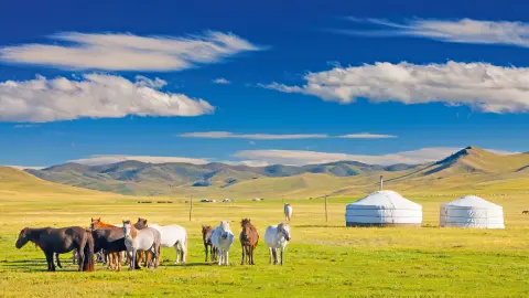 5222_Mongolei_content_1920x1080px_Pferde-im-Orchon-Tal-placeholder