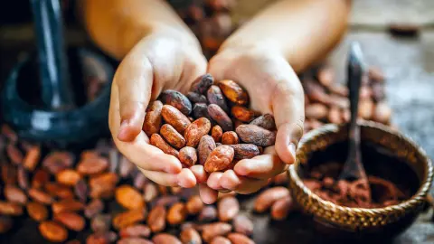 CUN111_Viva-Mexiko_content_1920x1080px_cacao-placeholder