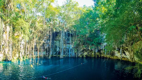 CUN111_Viva-Mexiko_content_1920x1080px_yokdzonot-cenote-placeholder