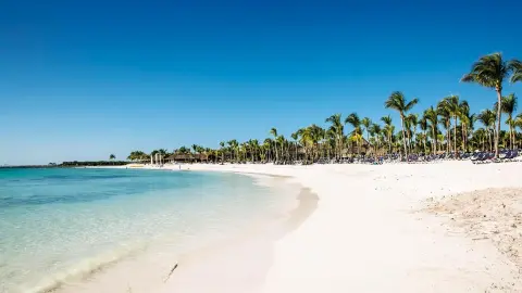 BMAYACO_BEA_10-1-Landscape_bea-placeholder