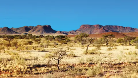 7217-7218_Namibia_content_1920x1080px_Kalahari-Wueste-placeholder